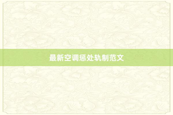 最新空调惩处轨制范文