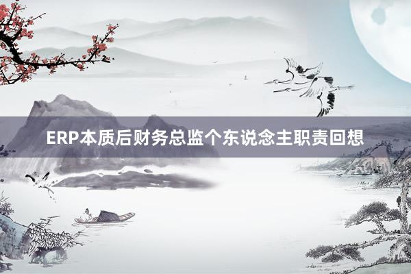 ERP本质后财务总监个东说念主职责回想
