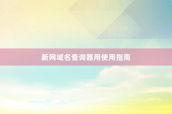 新网域名查询器用使用指南