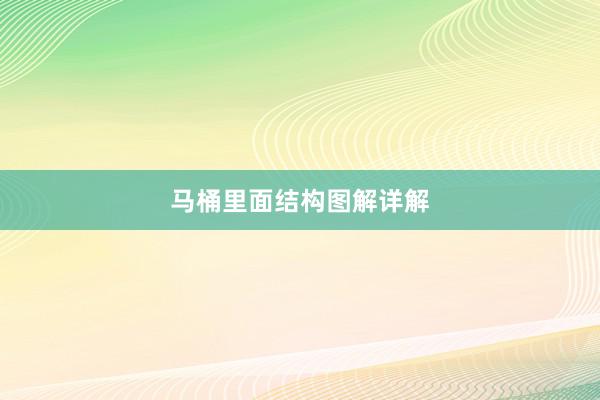 马桶里面结构图解详解